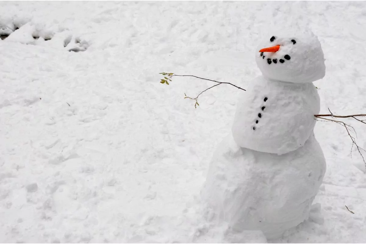 How To Make A Cotton Swab Snowman Painting